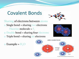 Covalent Bonds
Sharing of electrons between atoms
o Single bond = sharing two electrons
     Fluorine molecule = F2
o Double bond = sharing four electrons
o Triple bond = sharing six electrons


o Example = H2O
 