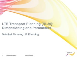 Nokia LTE IP Planning Guide | PDF