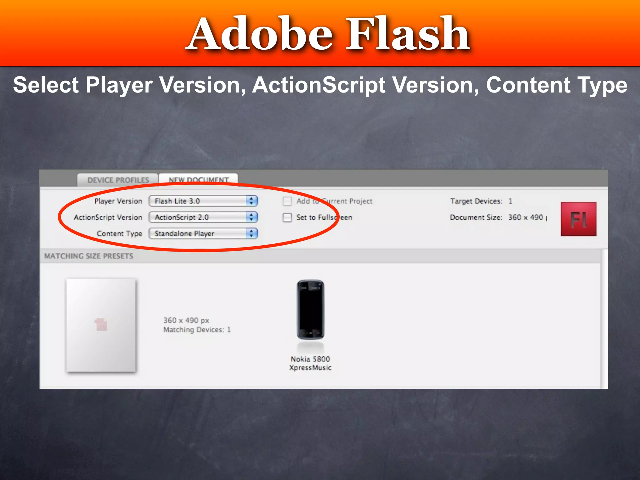 Adobe Flash
                  Testing
Select Player Version, ActionScript Version, Content Type
 