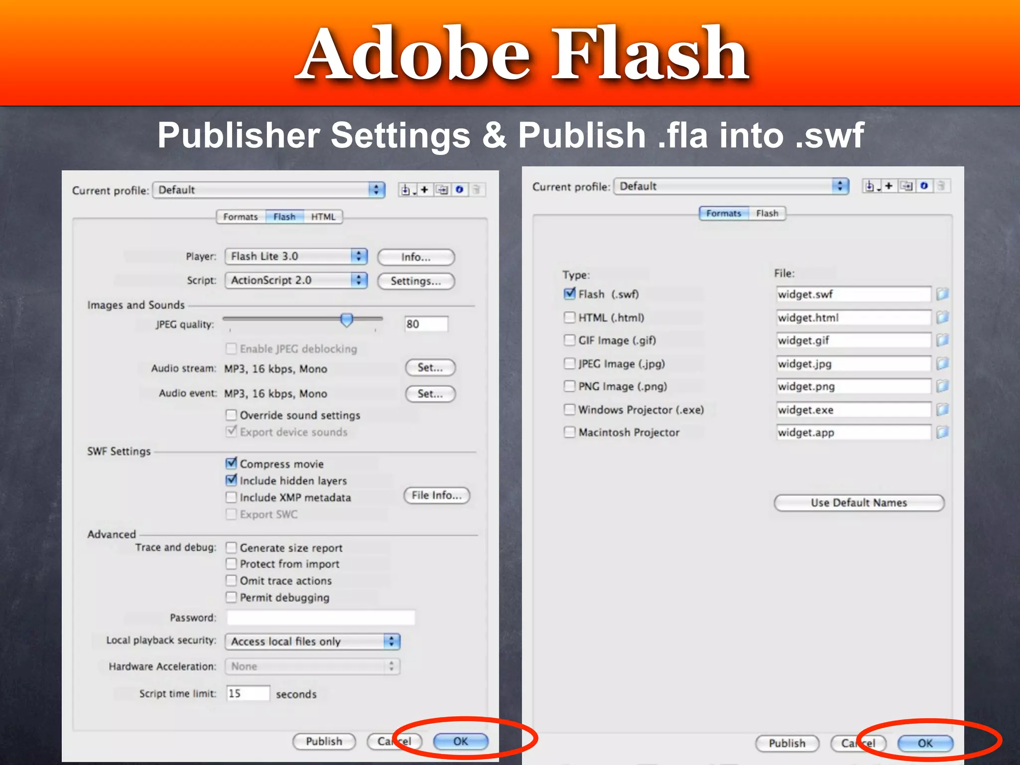 Adobe Flash
          Testing
Publisher Settings & Publish .fla into .swf
 