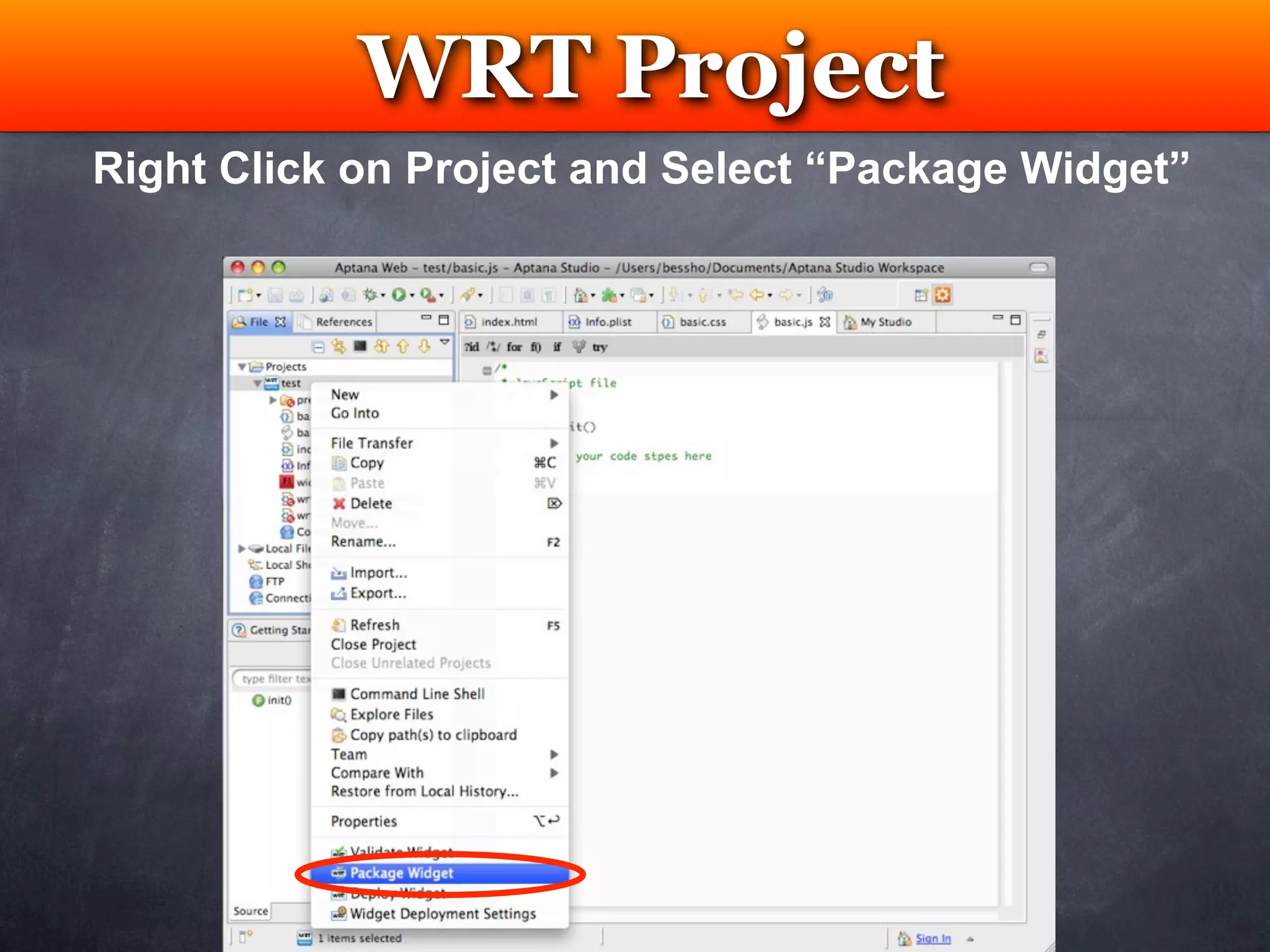 WRT Project
             Testing
Right Click on Project and Select “Package Widget”
 