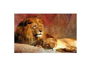 Pat Griswold: Essential Steps to increase sales