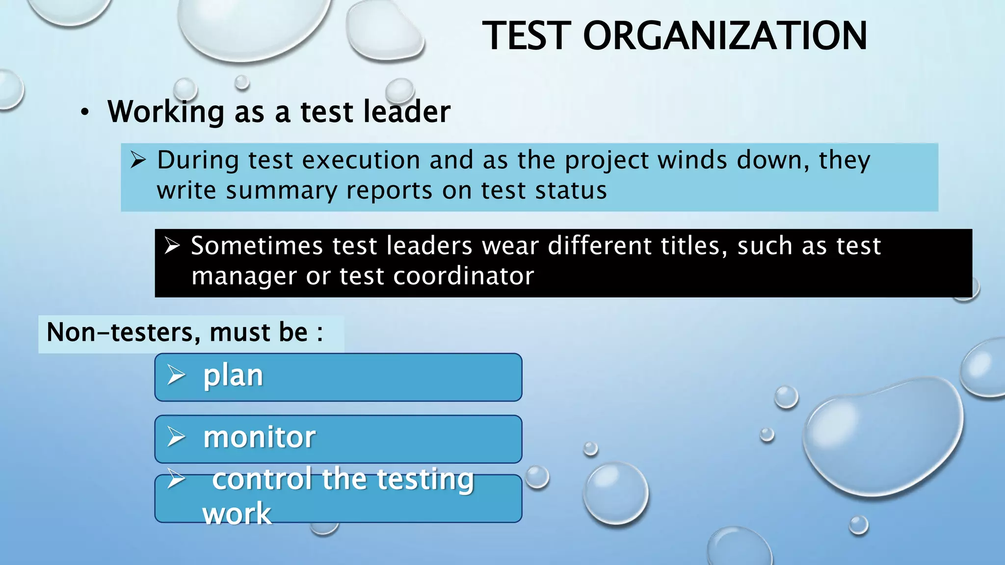 Test Organization | PPTX