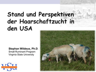 Stand und Perspektiven
der Haarschaftzucht in
den USA


Stephan Wildeus, Ph.D.
Small Ruminant Program
Virginia State University
 
