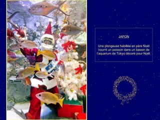 JAPON Une plongeuse habillée en père Noël nourrit un poisson dans un bassin de l’aquarium de Tokyo décoré pour Noël.  