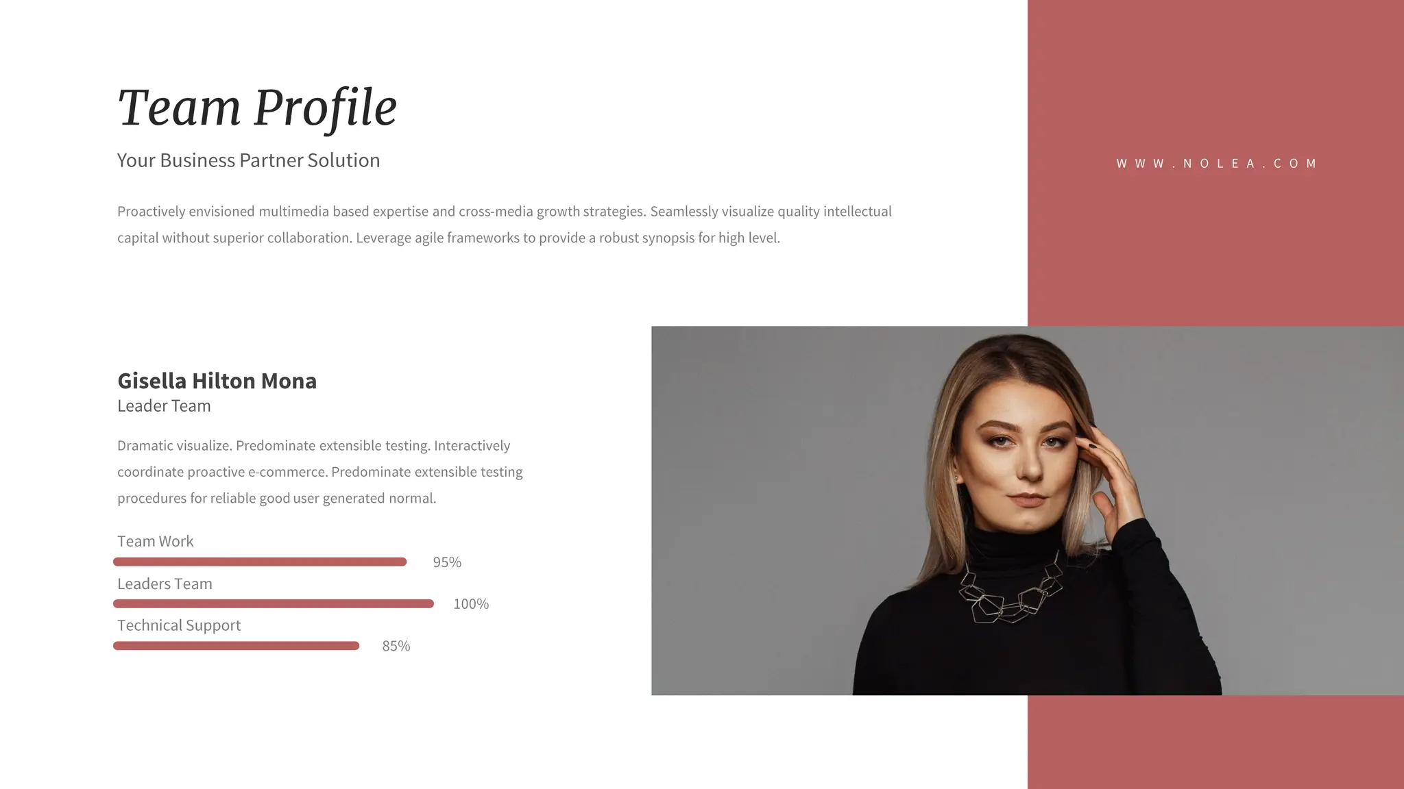 Nolea Presentation : Light Color Theme
