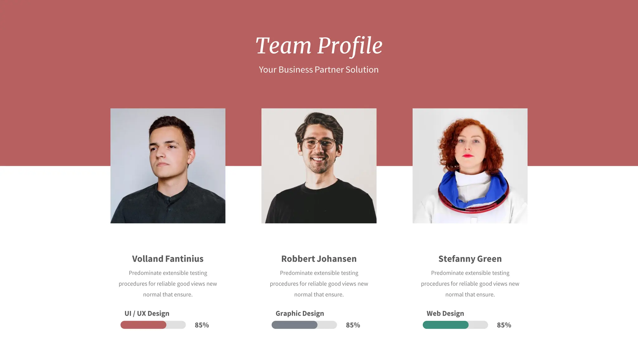 Nolea Presentation : Light Color Theme