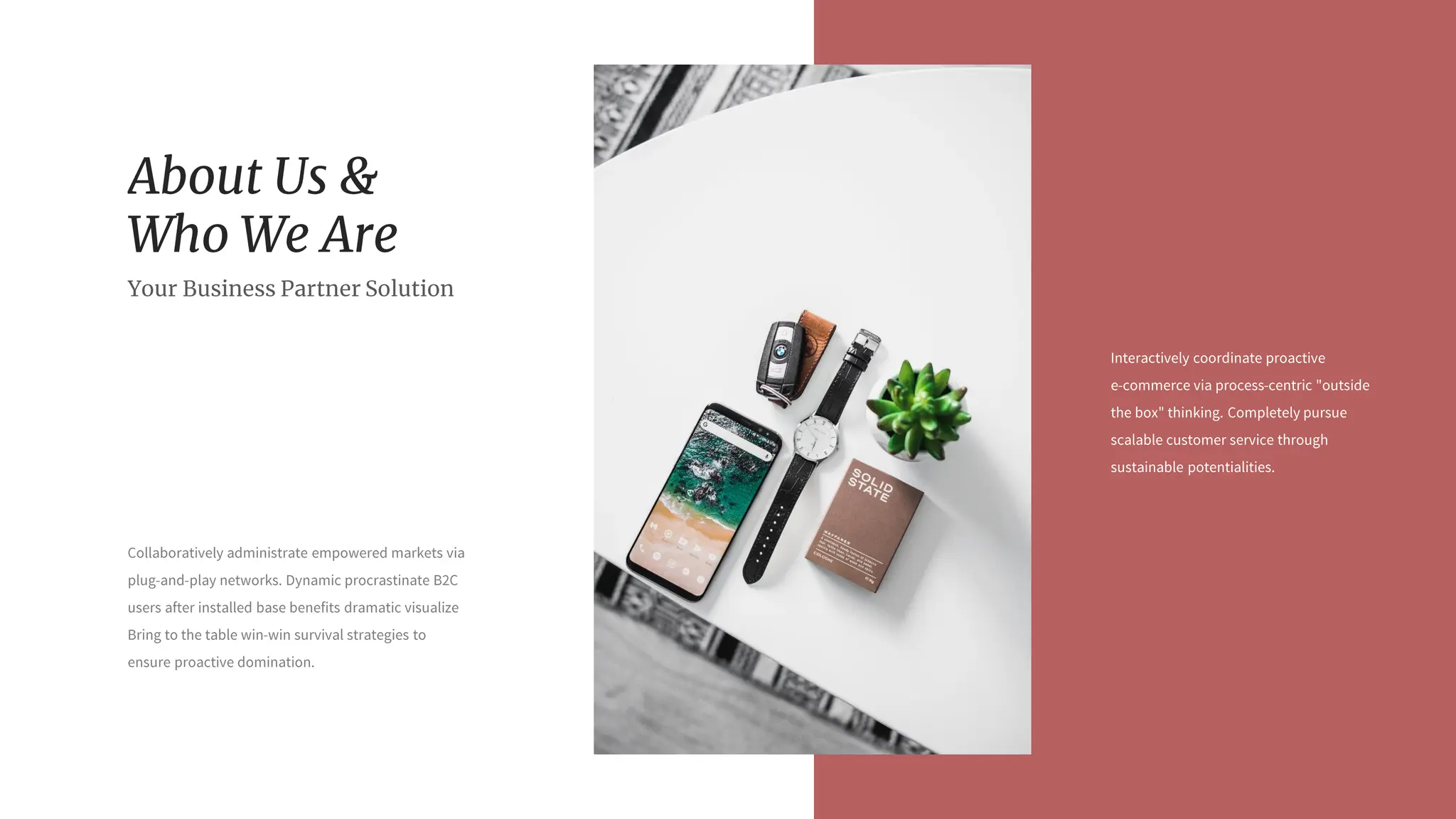 Nolea Presentation : Light Color Theme