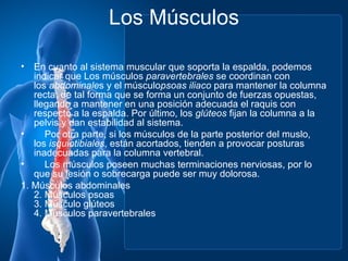 Los Músculos

• En cuanto al sistema muscular que soporta la espalda, podemos
   indicar que Los músculos paravertebrales se coordinan con
   los abdominales y el músculopsoas iliaco para mantener la columna
   recta, de tal forma que se forma un conjunto de fuerzas opuestas,
   llegando a mantener en una posición adecuada el raquis con
   respecto a la espalda. Por último, los glúteos fijan la columna a la
   pelvis y dan estabilidad al sistema.
•     Por otra parte, si los músculos de la parte posterior del muslo,
   los isquiotibiales, están acortados, tienden a provocar posturas
   inadecuadas para la columna vertebral.
•     Los músculos poseen muchas terminaciones nerviosas, por lo
   que su lesión o sobrecarga puede ser muy dolorosa.
1. Músculos abdominales
   2. Músculos psoas
   3. Músculo glúteos
   4. Músculos paravertebrales
 