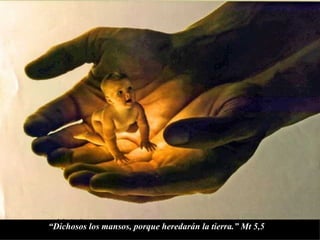 “ Dichosos los mansos, porque heredarán la tierra.” Mt 5,5 