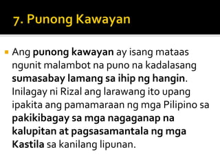    Ang punong kawayan ay isang mataas
    ngunit malambot na puno na kadalasang
    sumasabay lamang sa ihip ng hangin.
    Inilagay ni Rizal ang larawang ito upang
    ipakita ang pamamaraan ng mga Pilipino sa
    pakikibagay sa mga nagaganap na
    kalupitan at pagsasamantala ng mga
    Kastila sa kanilang lipunan.
 