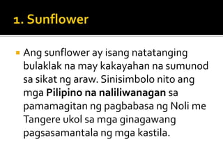    Ang sunflower ay isang natatanging
    bulaklak na may kakayahan na sumunod
    sa sikat ng araw. Sinisimbolo nito ang
    mga Pilipino na naliliwanagan sa
    pamamagitan ng pagbabasa ng Noli me
    Tangere ukol sa mga ginagawang
    pagsasamantala ng mga kastila.
 