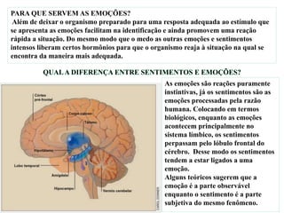 PARA QUE SERVEM AS EMOÇÕES?
Além de deixar o organismo preparado para uma resposta adequada ao estímulo que
se apresenta as emoções facilitam na identificação e ainda promovem uma reação
rápida a situação. Do mesmo modo que o medo as outras emoções e sentimentos
intensos liberam certos hormônios para que o organismo reaja à situação na qual se
encontra da maneira mais adequada.
As emoções são reações puramente
instintivas, já os sentimentos são as
emoções processadas pela razão
humana. Colocando em termos
biológicos, enquanto as emoções
acontecem principalmente no
sistema límbico, os sentimentos
perpassam pelo lóbulo frontal do
cérebro. Desse modo os sentimentos
tendem a estar ligados a uma
emoção.
Alguns teóricos sugerem que a
emoção é a parte observável
enquanto o sentimento é a parte
subjetiva do mesmo fenômeno.
 