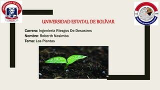 UNIVERSIDADESTATAL DE BOLÍVAR
Carrera: Ingeniería Riesgos De Desastres
Nombre: Roberth Nasimba
Tema: Las Plantas
 