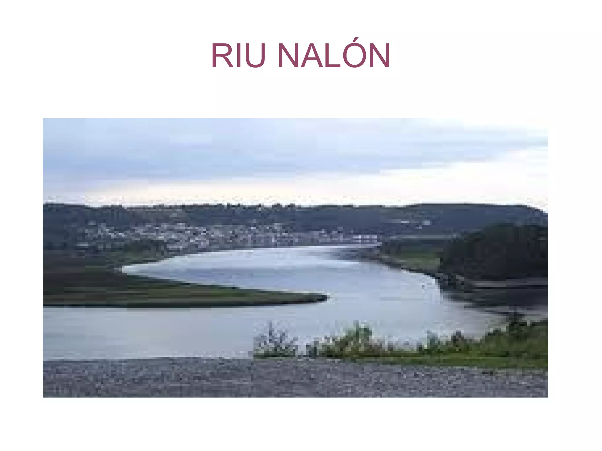RIU NALÓN
 