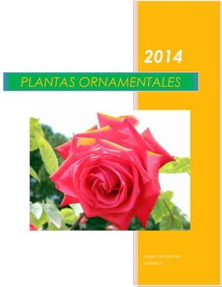 2014
VERDECOR PERU EIRL
06/06/2014
PLANTAS ORNAMENTALES
 