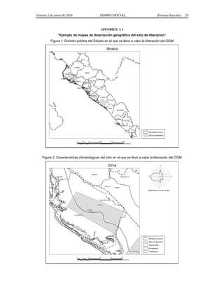 Viernes 3 de enero de 2014 DIARIO OFICIAL (Primera Sección) 29 
APENDICE A 1 
“Ejemplo de mapas de descripción geográfica del sitio de liberación” 
Figura 1: División política del Estado en el que se llevó a cabo la liberación del OGM 
Figura 2: Características climatológicas del sitio en el que se llevó a cabo la liberación del OGM 
 