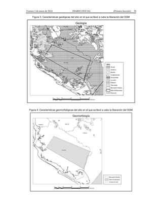 Viernes 3 de enero de 2014 DIARIO OFICIAL (Primera Sección) 30 
Figura 3: Características geológicas del sitio en el que se llevó a cabo la liberación del OGM 
Figura 4: Características geomorfológicas del sitio en el que se llevó a cabo la liberación del OGM 
 