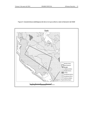 Viernes 3 de enero de 2014 DIARIO OFICIAL (Primera Sección) 31 
Figura 5: Características edafológicas del sitio en el que se llevó a cabo la liberación del OGM 
 