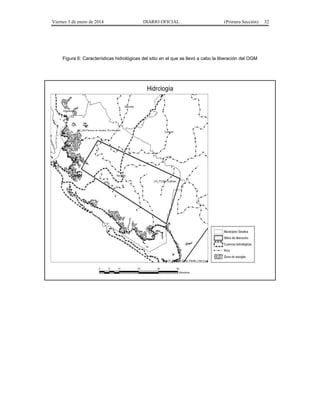 Viernes 3 de enero de 2014 DIARIO OFICIAL (Primera Sección) 32 
Figura 6: Características hidrológicas del sitio en el que se llevó a cabo la liberación del OGM 
 