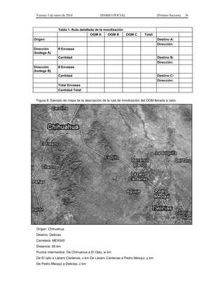 Viernes 3 de enero de 2014 DIARIO OFICIAL (Primera Sección) 36 
Tabla 1. Ruta detallada de la movilización 
OGM A OGM B OGM C Total 
Origen: Destino A: 
Dirección: 
Dirección 
(bodega A) 
# Envases 
Cantidad Destino B: 
Dirección: 
Dirección 
(bodega B) 
# Envases 
Cantidad Destino C: 
Dirección: 
Total Envases 
Cantidad Total 
Figura 8: Ejemplo de mapa de la descripción de la ruta de movilización del OGM llevada a cabo 
Origen: Chihuahua 
Destino: Delicias 
Carretera: MEX045 
Distancia: 85 km 
Puntos intermedios: De Chihuahua a El Ojito, w km 
De El ojito a Lázaro Cárdenas, x km De Lázaro Cárdenas a Pedro Meoqui, y km 
De Pedro Meoqui a Delicias, z km 
 