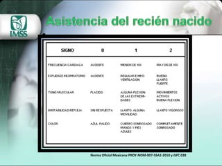 Norma Oficial Mexicana PROY-NOM-007-SSA2-2010 y GPC 028
 