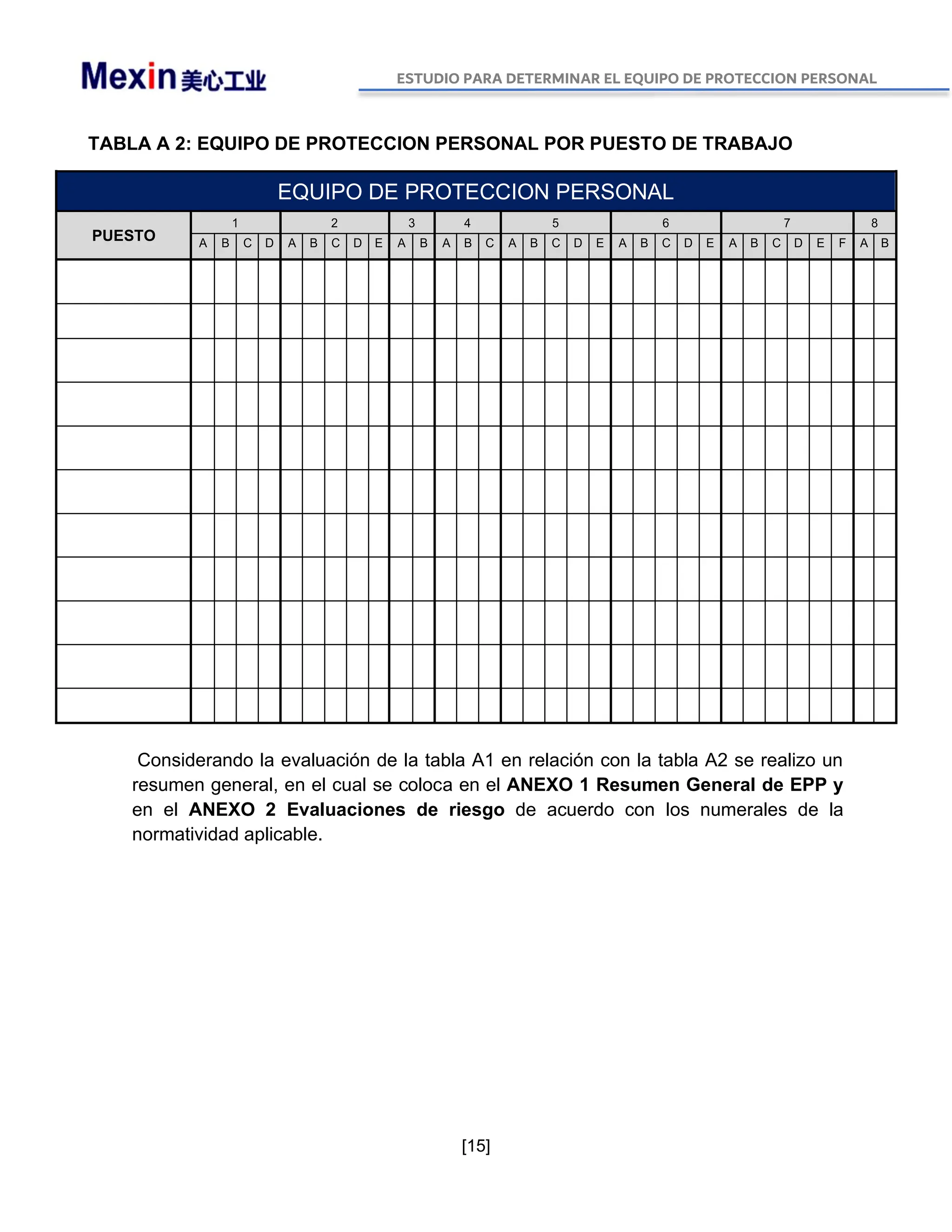 NOM 017 STPS 2008 Estudio y Analisis de EPP.pdf