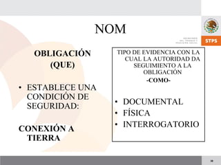 NOM 022 STPS.pdf