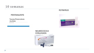 10 semanas
PENTAVALENTE
ROTAVIRUS
NEUMOCOCICA
CONJUGADA
 