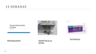 14 SEMANAS
PENTAVALENTE HEPATITIS B 3ra
DOSIS
ROTAVIRUS
 