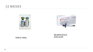 12 MESES
TRIPLE VIRAL
NEUMOCOCICA
ACELULAR
 