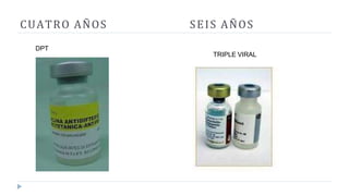 CUATRO AÑOS SEIS AÑOS
DPT
TRIPLE VIRAL
 