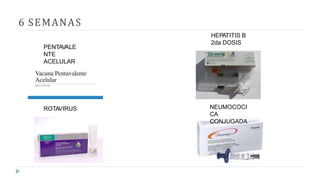 6 SEMANAS
ROTAVIRUS
HEPATITIS B
2da DOSIS
PENTAVALE
NTE
ACELULAR
NEUMOCOCI
CA
CONJUGADA
 