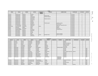 Jueves30de
diciembrede2010DIARIOOFICIAL(SegundaSección)34
Hongos
ORDEN FAMILIA GENERO ESPECIE SUBESPECIE,
FORMA O
VARIEDAD
SINONIMIA NOMBRE COMUN DISTRIBUCION CATEGORIA METODO
Agaricales Strophariaceae Psilocybe schultesii no endémica Pr
Agaricales Strophariaceae Psilocybe singeri Psilocybe singerii no endémica P
Agaricales Strophariaceae Psilocybe subyungensis Psilocybe subyugensis no endémica A
Agaricales Strophariaceae Psilocybe uxpanapensis no endémica P
Agaricales Strophariaceae Psilocybe verae-crucis Psilocybe veraecrucis no endémica P
Agaricales Strophariaceae Psilocybe wassoniorum no endémica A
Agaricales Strophariaceae Psilocybe weldenii no endémica P
Agaricales Strophariaceae Psilocybe xalapensis no endémica Pr
Agaricales Strophariaceae Psilocybe yungensis Psilocybe yugensis pequeños que brotan no endémica A
Agaricales Strophariaceae Psilocybe zapotecorum corona de Cristo no endémica A
Agaricales Tricholomataceae Tricholoma magnivelare hongo clenco, hongo blanco de pino no endémica Pr
Aphyllophorales Cantharelleaceae Cantharellus cibarius cibarius rebozuelo no endémica Pr
Boletales Boletaceae Boletus edulis selpanza no endémica A
Boletales Gomphideaceae Gomphidius rutilus carnita de res no endémica A
Boletales Strobilomycetidaceae Leccinum aurantiacum ririchaka (Raramuri) no endémica A
Pezizales Morchellaceae Morchella angusticeps no endémica A
Pezizales Morchellaceae Morchella conica no endémica A
Pezizales Morchellaceae Morchella costata no endémica A
Pezizales Morchellaceae Morchella elata mazorca, mazorquita no endémica A
Pezizales Morchellaceae Morchella esculenta umbrina Morchella umbrina mazorca, mazorquita no endémica A
Pezizales Morchellaceae Morchella rufobrunnea no endémica A
Invertebrados
PHYLUM CLASE ORDEN FAMILIA GENERO ESPECIE SUBESPECIE SINONIMIA NOMBRE COMUN DISTRIBUCION CATEGORIA METODO
Arthropoda Arácnida Araneae Theraposidae Brachypelma emilia tarántula A
Arthropoda Arachnida Araneae Theraposidae Brachypelma pallidum tarántula A
Arthropoda Arachnida Araneae Theraposidae Brachypelma smithi tarántula de rodillas rojas A
Arthropoda Insecta Diptera Tabanidae Brennania belkini tábano de las dunas P
Arthropoda Insecta Lepidoptera Danaidae Danaus plexippus mariposa monarca Pr
Arthropoda Insecta Lepidoptera Papilionidae Papilio esperanza la llamadora A
Arthropoda Malacostraca Decapoda Alpheidae Potamalpheops stygicola Alpheopsis stygicola camaroncillo endémica P
Arthropoda Malacostraca Decapoda Atyidae Typhlatya campecheae chacales P MER
Arthropoda Malacostraca Decapoda Atyidae Typhlatya mitchelli chacales A MER
Arthropoda Malacostraca Decapoda Atyidae Typhlatya pearsei chacales A MER
Arthropoda Malacostraca Decapoda Cambaridae Procambarus regiomontanus acocil, cangrejo de agua dulce endémica P MER
Arthropoda Malacostraca Decapoda Palaemonidae Creaseria morleyi langostino A MER
Arthropoda Malacostraca Decapoda Palaemonidae Macrobrachium acherontium langostino P MER
Arthropoda Malacostraca Decapoda Palaemonidae Macrobrachium villalobosi langostino A MER
Arthropoda Malacostraca Decapoda Palaemonidae Neopalaemon nahuatlus langostino P MER
Arthropoda Malacostraca Decapoda Palaemonidae Troglomexicanus perezfarfantae Troglocubanus
perezfarfanteae,
Troglocubanus
perezfarfantae
langostino P MER
Arthropoda Malacostraca Decapoda Pseudothelphusidae Pseudothelphusa dugesi cangrejo de la barrancas endémica P MER
Arthropoda Malacostraca Decapoda Pseudothelphusidae Typhlopseudothelphusa mocinoi cangrejo P MER
Arthropoda Malacostraca Isopoda Cirolanidae Creaseriella anops cochinilla de playa A MER
Arthropoda Malacostraca Mysidacea Lepidomysidae Spelaeomysis quinterensis camarón A MER
Arthropoda Malacostraca Mysidacea Mysidae Antromysis cenotensis misidaceo endémica A MER
 