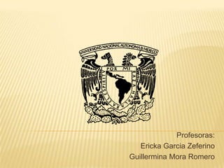 Profesoras:
   Ericka Garcia Zeferino
Guillermina Mora Romero
 