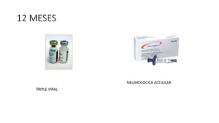 12 MESES
TRIPLE VIRAL
NEUMOCOCICA ACELULAR
 