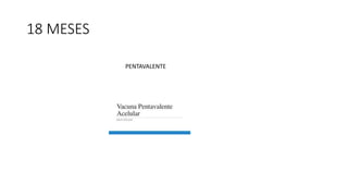 18 MESES
PENTAVALENTE
 