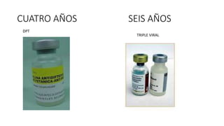 CUATRO AÑOS SEIS AÑOS
DPT
TRIPLE VIRAL
 