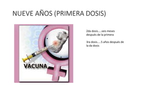 NUEVE AÑOS (PRIMERA DOSIS)
2da dosis…..seis meses
después de la primera
3ra dosis…..5 años después de
la da dosis
 