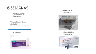 6 SEMANAS
ROTAVIRUS
HEPATITIS B
2da DOSIS
PENTAVALENTE
ACELULAR
NEUMOCOCICA
CONJUGADA
 