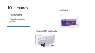 10 semanas
PENTAVALENTE
ROTAVIRUS
NEUMOCOCICA CONJUGADA
 