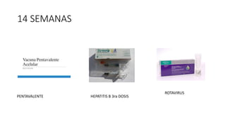 14 SEMANAS
PENTAVALENTE HEPATITIS B 3ra DOSIS
ROTAVIRUS
 