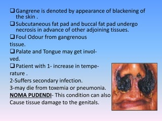 Gangrene is denoted by appearance of blackening of
the skin .
Subcutaneous fat pad and buccal fat pad undergo
necrosis in advance of other adjoining tissues.
Foul Odour from gangrenous
tissue.
Palate and Tongue may get invol-
ved.
Patient with 1- increase in tempe-
rature .
2-Suffers secondary infection.
3-may die from toxemia or pneumonia.
NOMA PUDENDI- This condition can also
Cause tissue damage to the genitals.
 