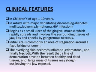 CLINICAL FEATURES
In Children's of age 1-10 years.
In Adults with major debilitating diseases(eg-diabetes
mellitus,leukemia,lymphoma,HIV infection)
Begins as a small ulcer of the gingival mucosa which
rapidly spreads and involves the surrounding tissues of
jaw, lips and cheeks by gangrenous necrosis.
Initial site is commonly an area of stagnation around a
fixed bridge or crown.
The overlying skin becomes inflamed ,edematous , and
finally Necrotic,With the result that a line of
demarcation develop between healthy and dead
tissues, and large mass of tissues may slough
out,leaving the jaw exposed.
 