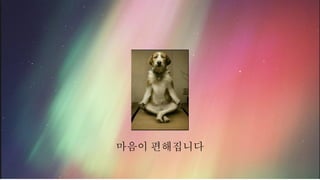 마음이 편해집니다
 
