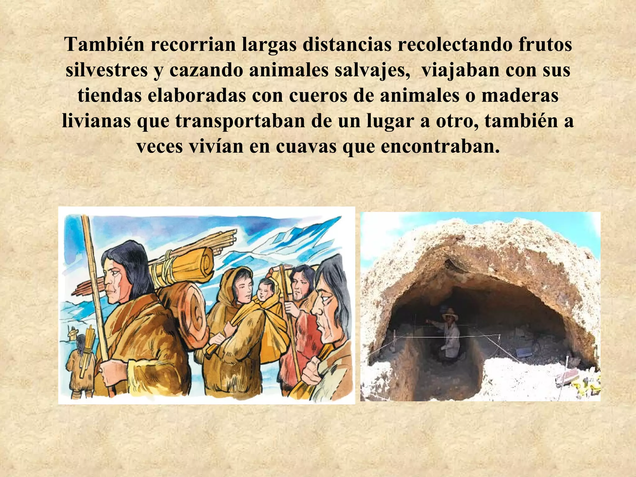 También recorrian largas distancias recolectando frutos
 silvestres y cazando animales salvajes, viajaban con sus
   tiendas elaboradas con cueros de animales o maderas
livianas que transportaban de un lugar a otro, también a
          veces vivían en cuavas que encontraban.
 