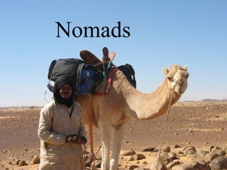 Nomads
 