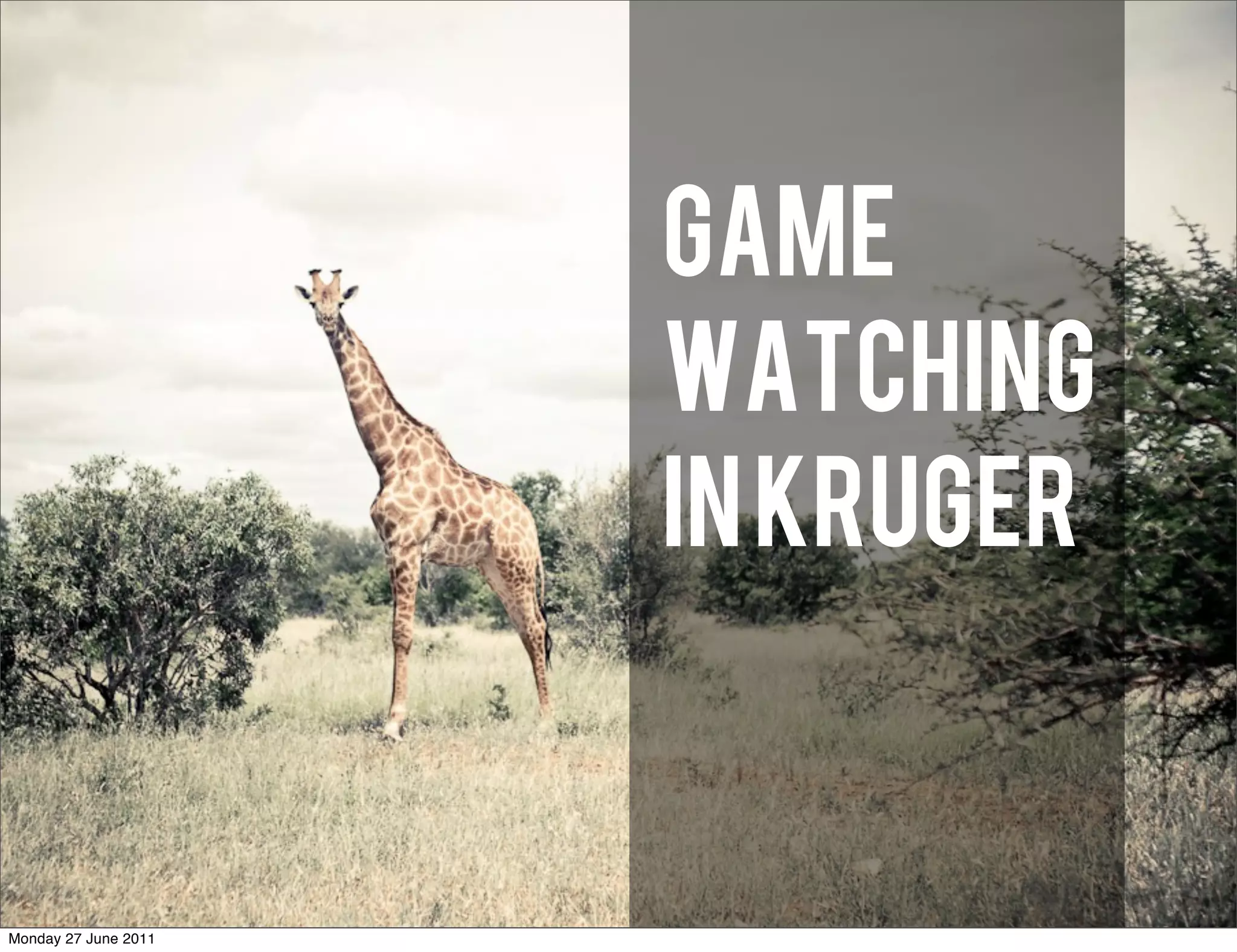 Game
                      watching
                      in Kruger


Monday 27 June 2011
 