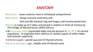 Thyroid Ultrasound and TIRADS | PPTX