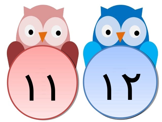 Nombor Ba Burung Hantu Kinah